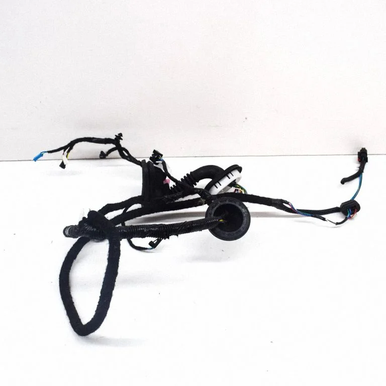Rear door wiring loom – Tesla Model Y (2020-)