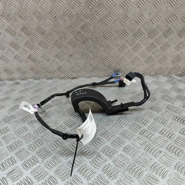 Rear door wiring loom 106340500F