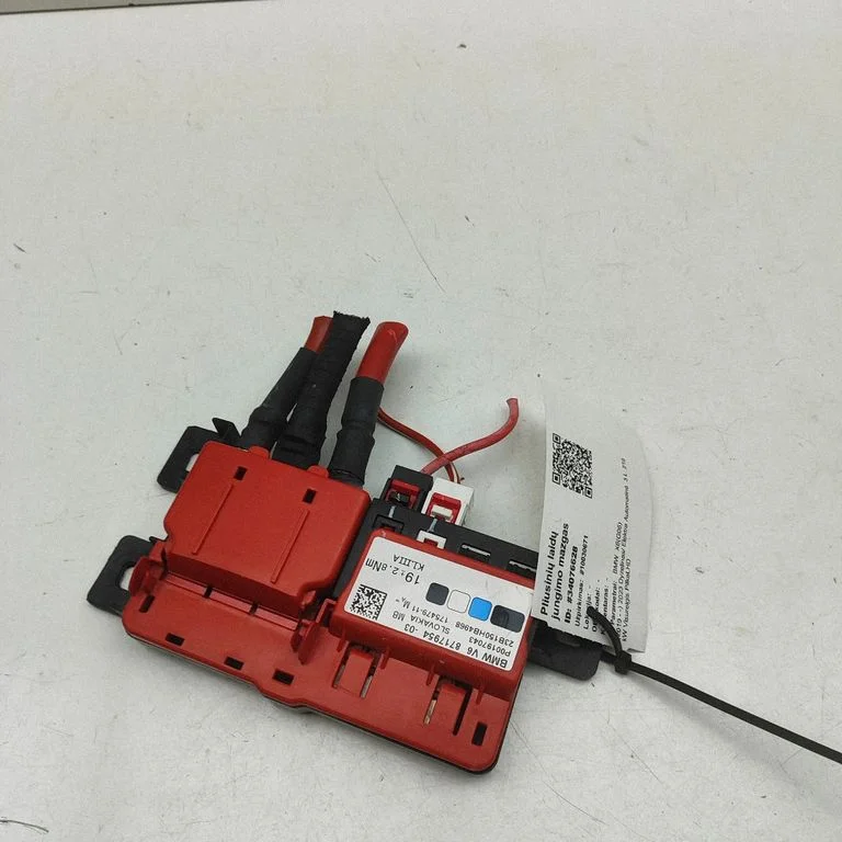Positive wiring loom – BMW X6 G06 (2019-)