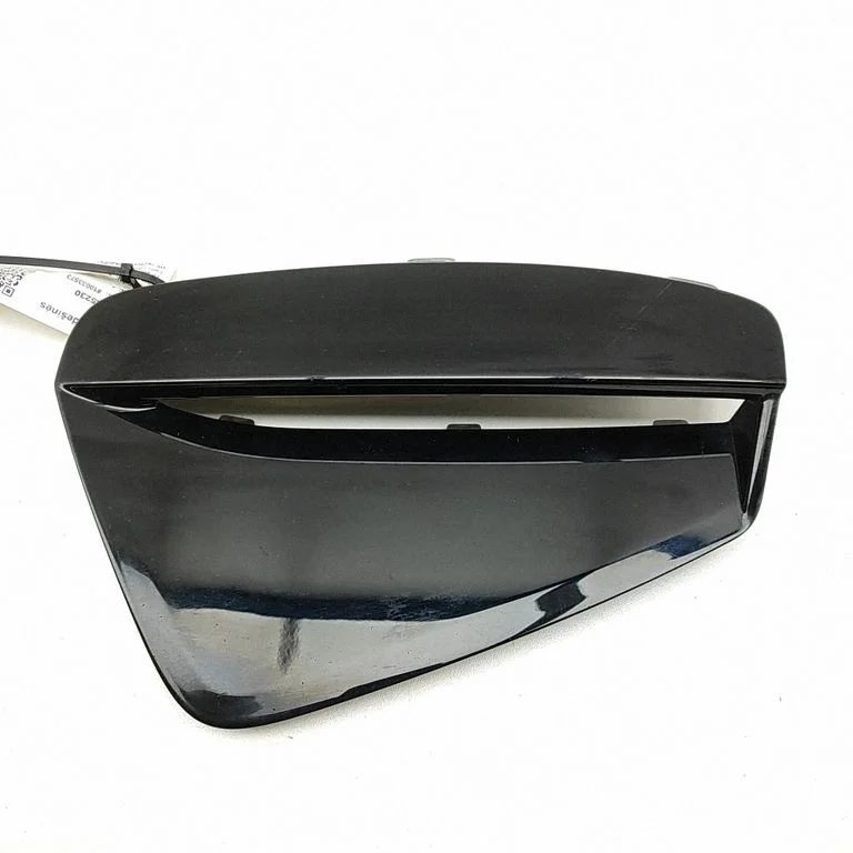Front grill 4J3807682