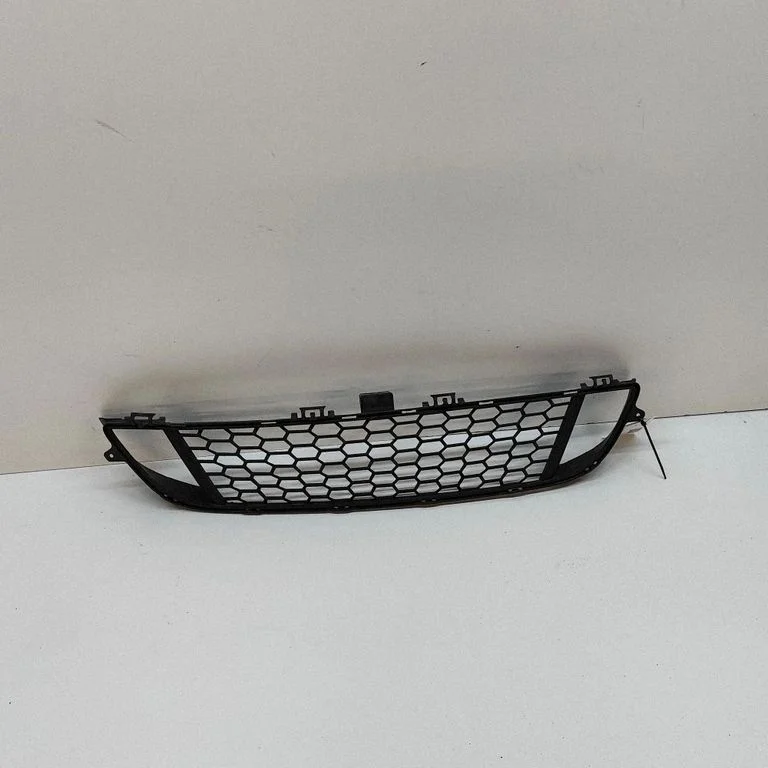Front grill 8055434