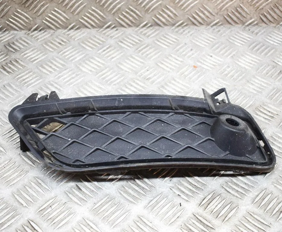 Front grill 7249595