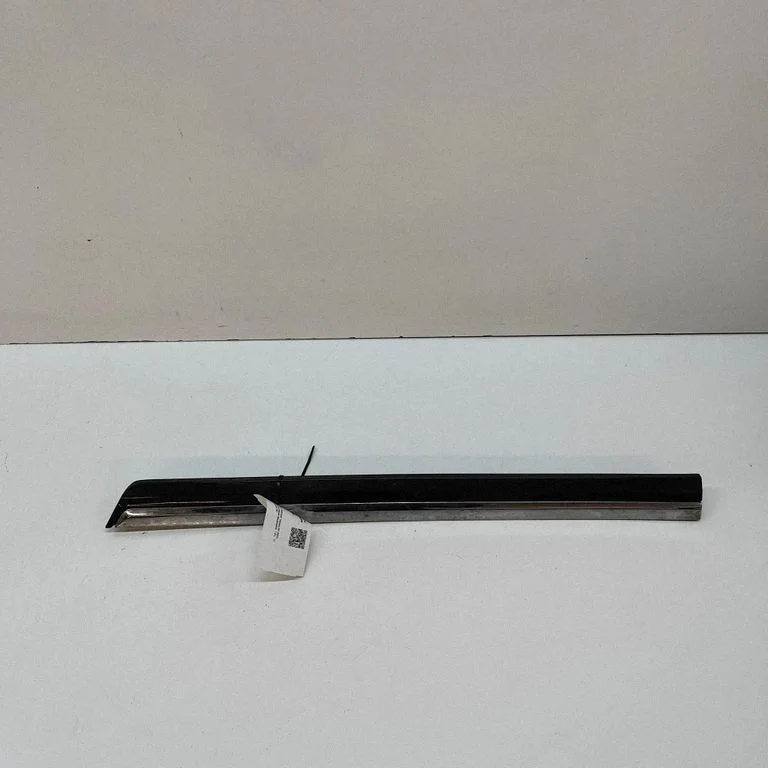 Rear door trim (molding) – Volkswagen Passat CC (2008-2016)
