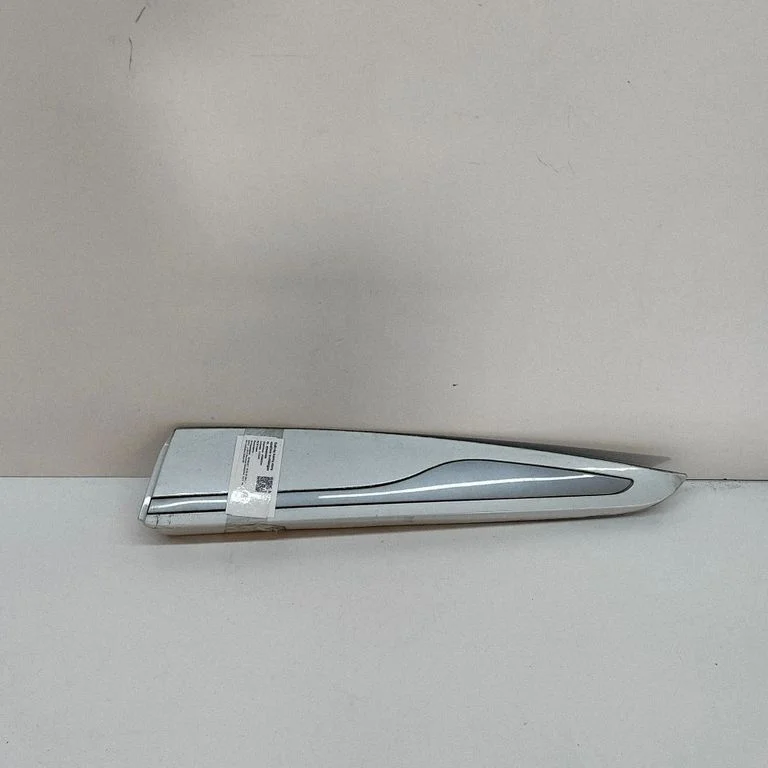 Tagaukse liist (mold) 808211791R