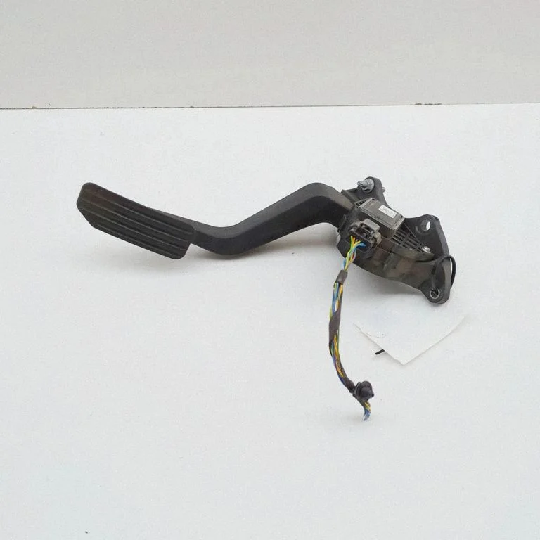 Accelerator throttle pedal FK729F836DB