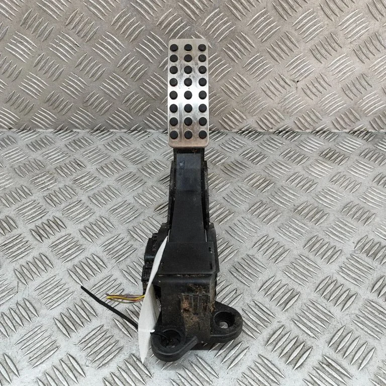 Accelerator throttle pedal A1643000104