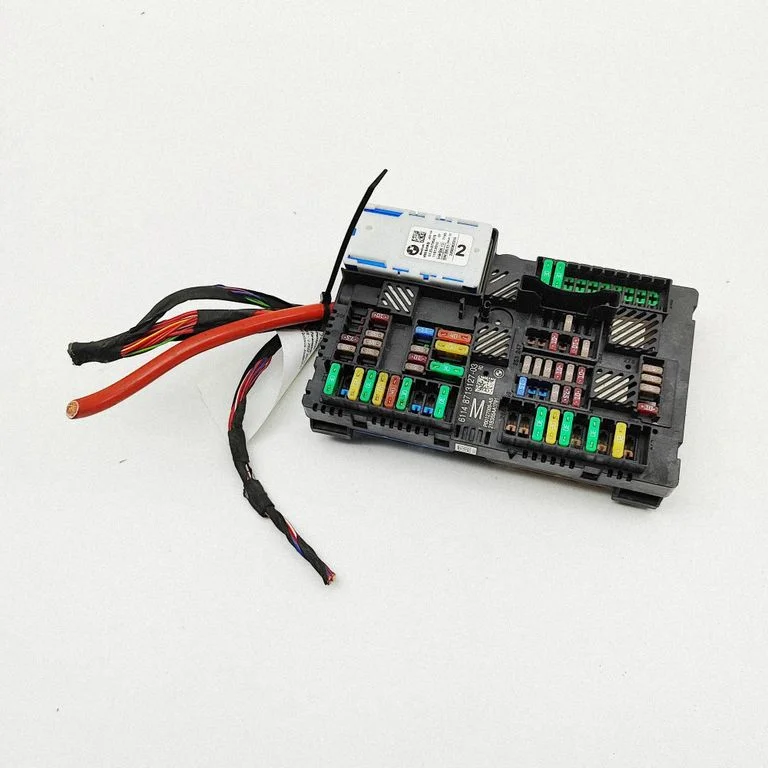 Fuse module 8795478