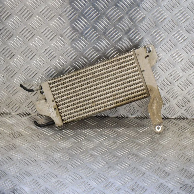 Cita motora nodalījuma detaļa BK219N103AE