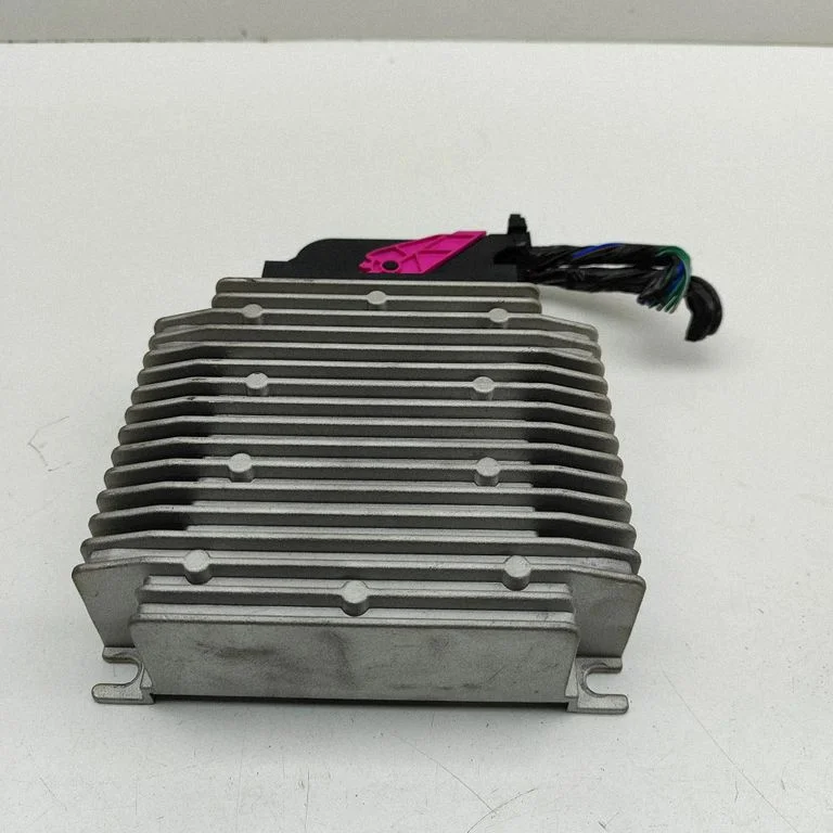 Wzmacniacz audio – Tesla Model Y (2020-)