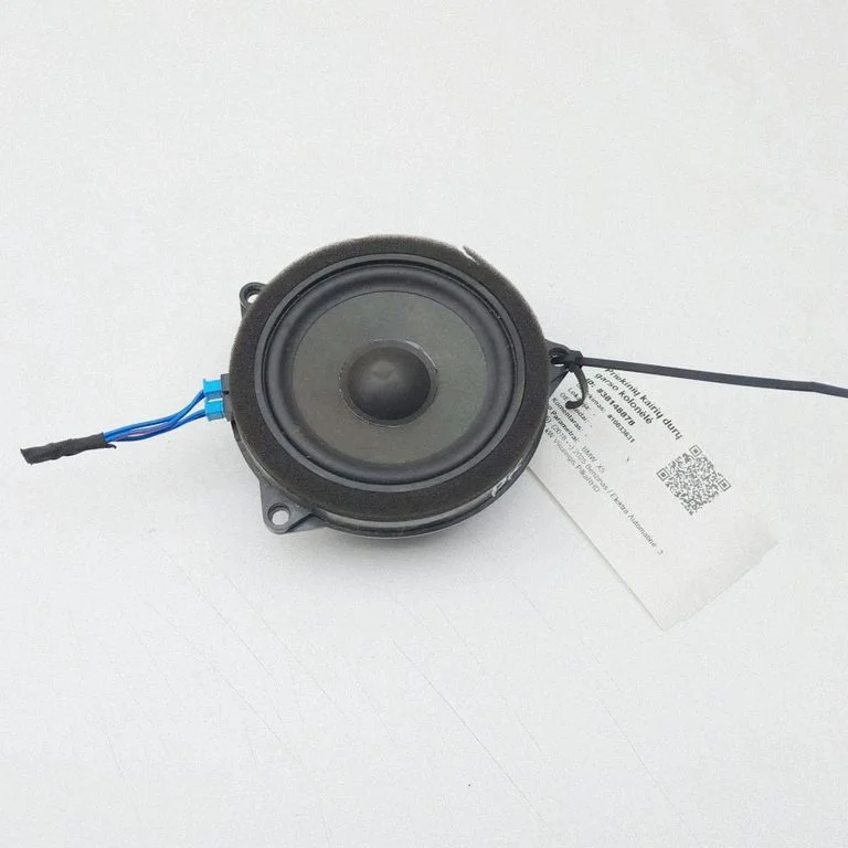 Esiukse kõlar(id) 2622518