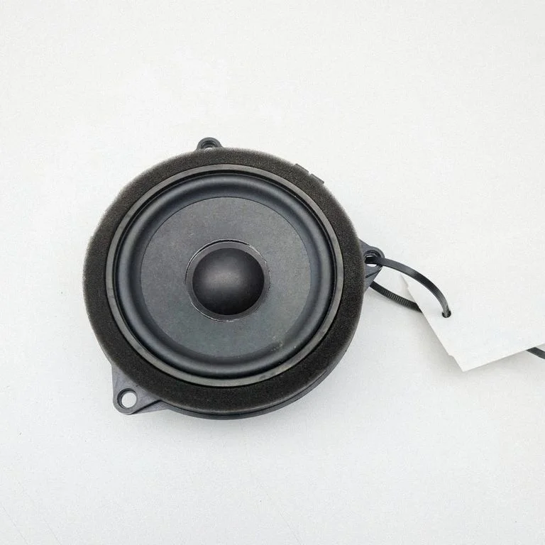 Esiukse kõlar(id) 2622518