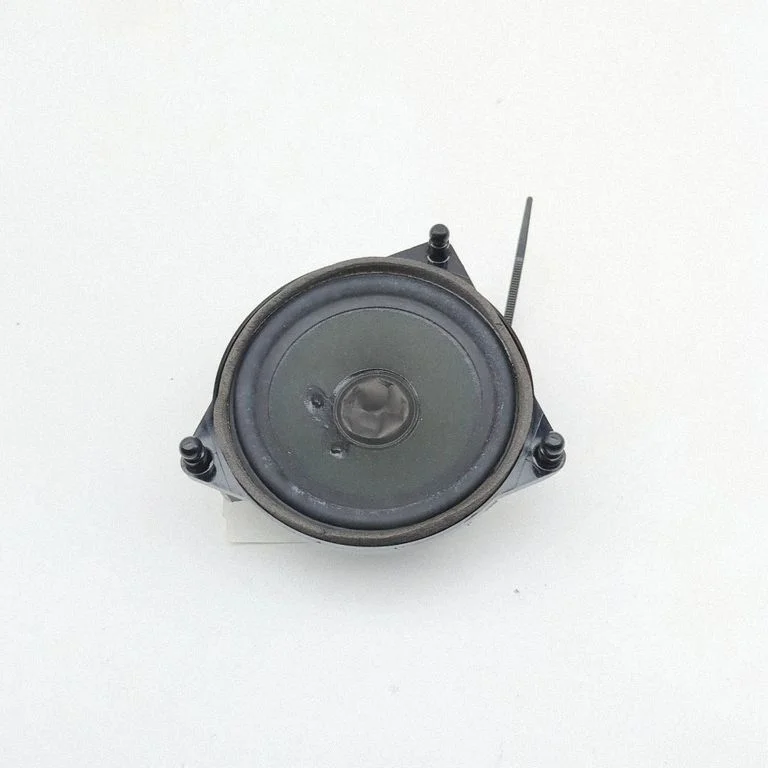 Skaļrunis (-ņi) priekšējās durvīs A2138201000