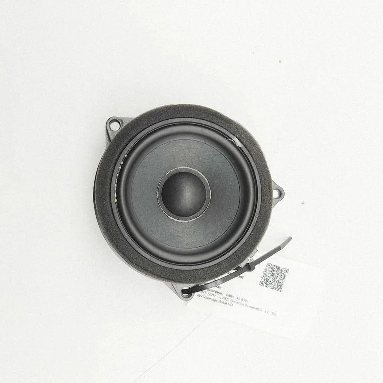 Esiukse kõlar(id) 2622518