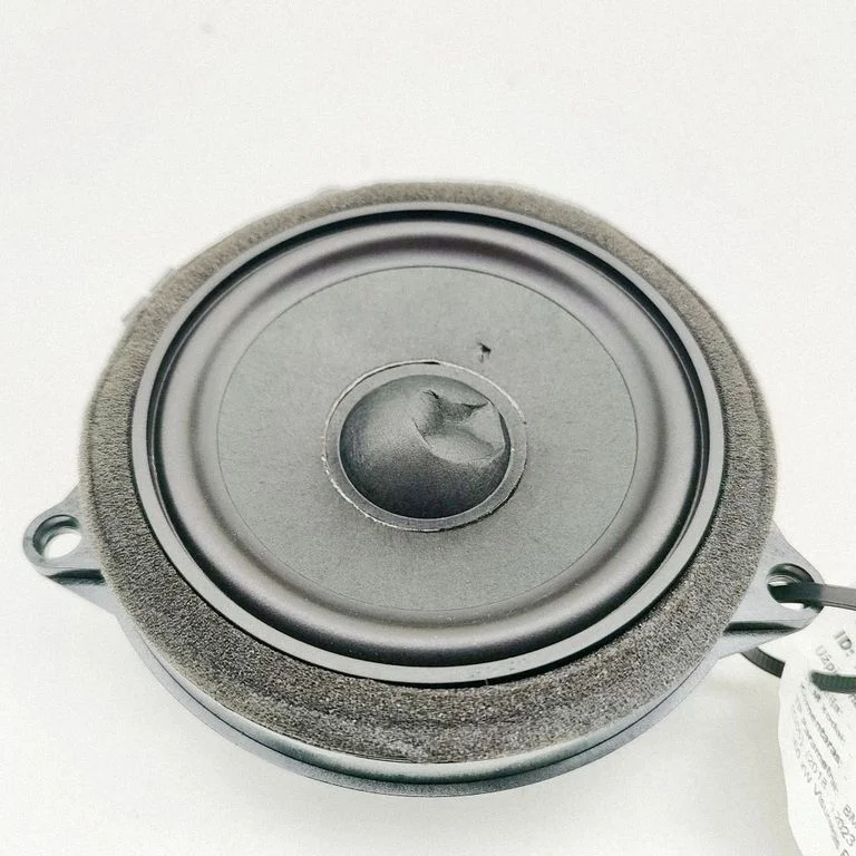 Esiukse kõlar(id) 2622518