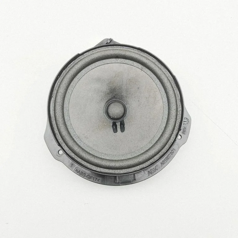 Skaļrunis (-ņi) priekšējās durvīs A4478271160