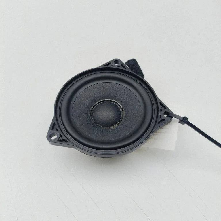 Esiukse kõlar(id) 107974200C