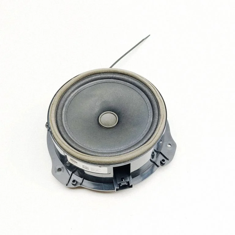 Skaļrunis (-ņi) priekšējās durvīs GX7318808DC