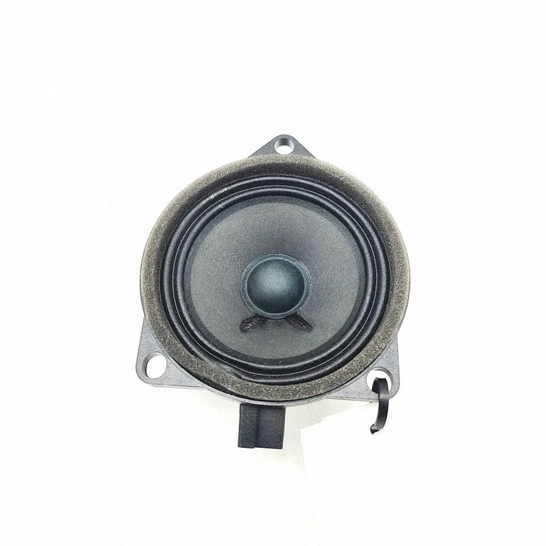 Skaļrunis (-ņi) priekšējās durvīs 31438477