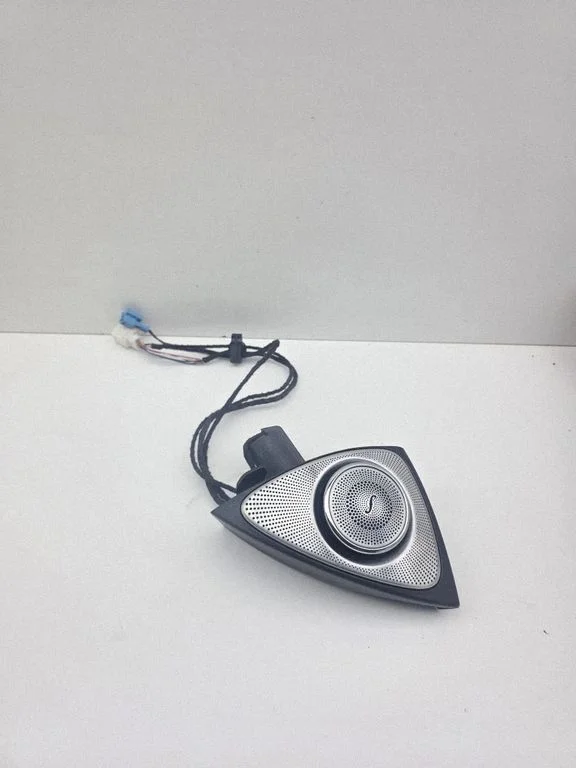 Skaļrunis (-ņi) priekšējās durvīs A2227205900