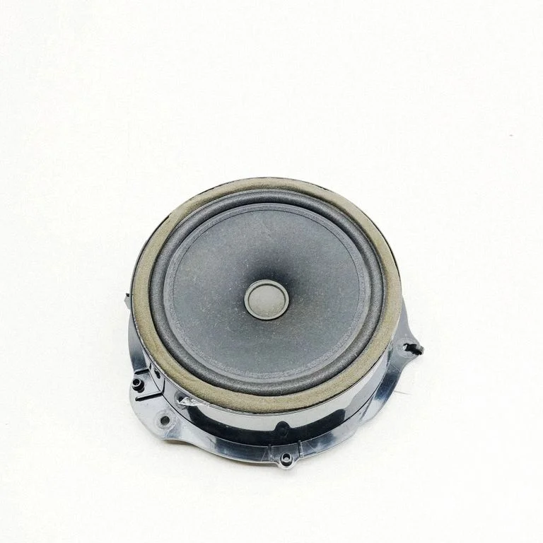 Skaļrunis (-ņi) priekšējās durvīs GX7318808DC
