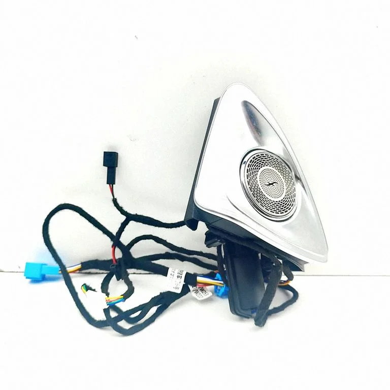 Esiukse kõlar(id) A2057209003