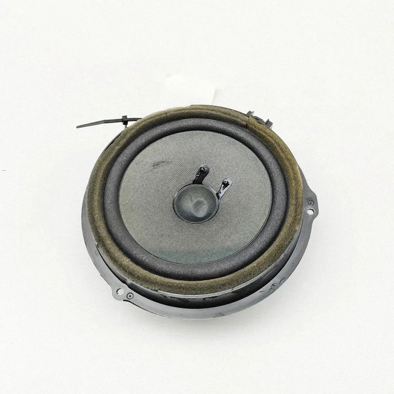 Skaļrunis (-ņi) priekšējās durvīs AA6T18808AA