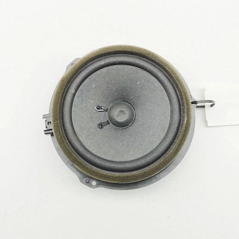 Skaļrunis (-ņi) priekšējās durvīs AA6T18808AA
