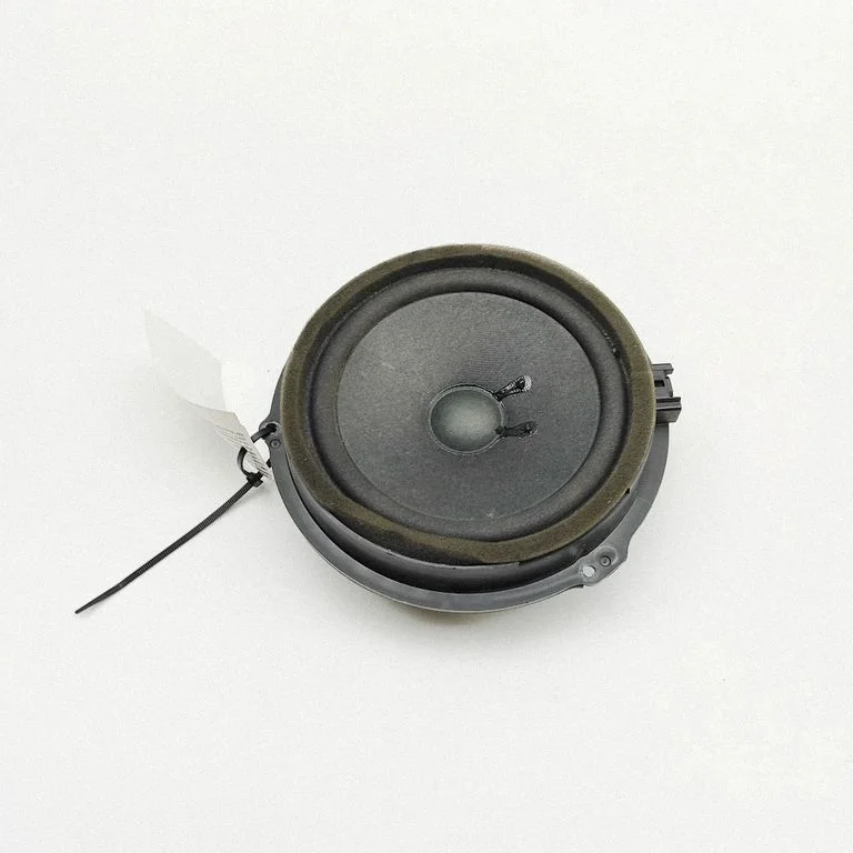 Skaļrunis (-ņi) priekšējās durvīs AA6T18808AA