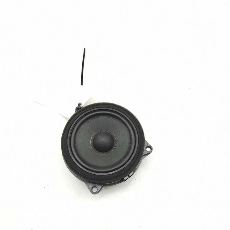 Skaļrunis (-ņi) priekšējās durvīs 2622518