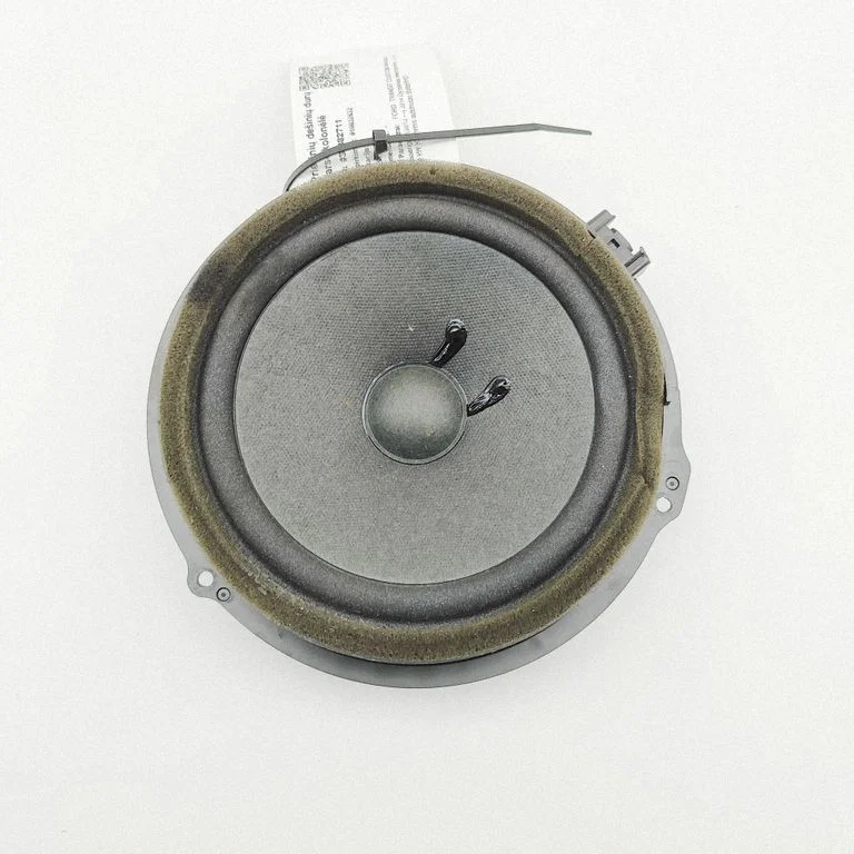 Skaļrunis (-ņi) priekšējās durvīs AA6T18808AA