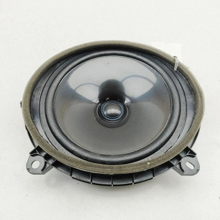 Skaļrunis (-ņi) priekšējās durvīs 8616033A20