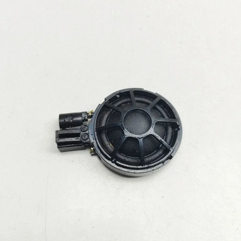 Front door speaker 100483300A