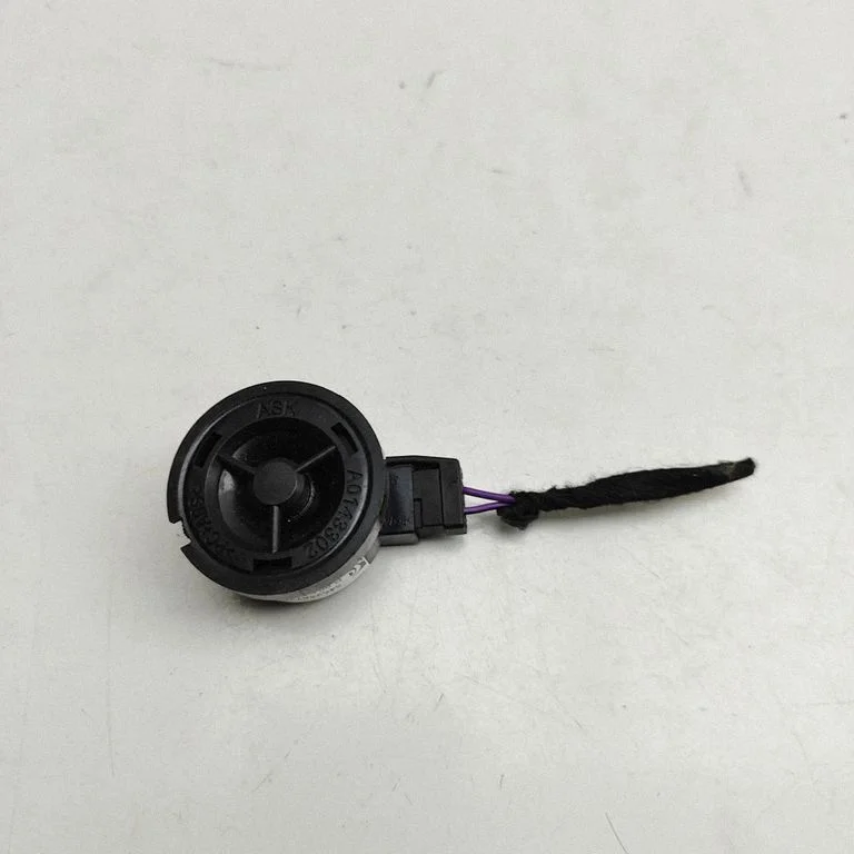 Front door speaker 545286726