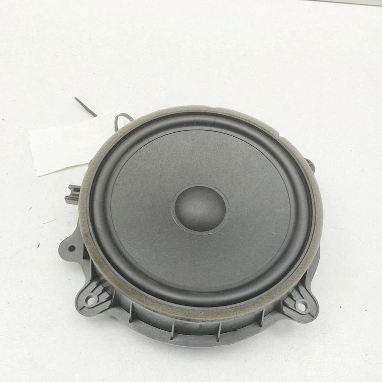 Skaļrunis (-ņi) priekšējās durvīs 107974400F