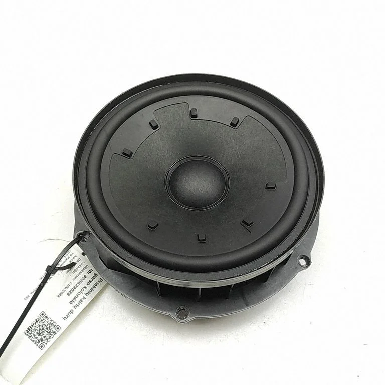 Skaļrunis (-ņi) priekšējās durvīs 14A035454A