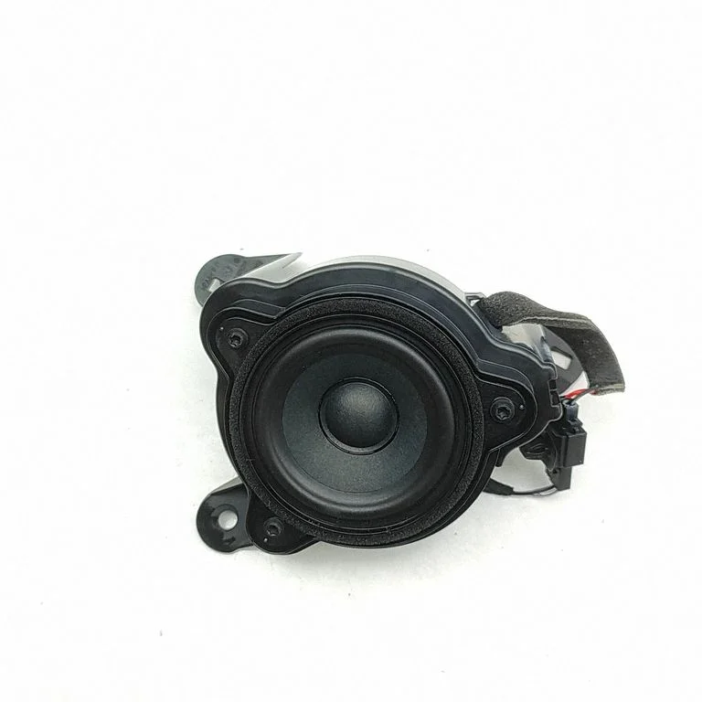 Skaļrunis (-ņi) priekšējās durvīs 14B035209
