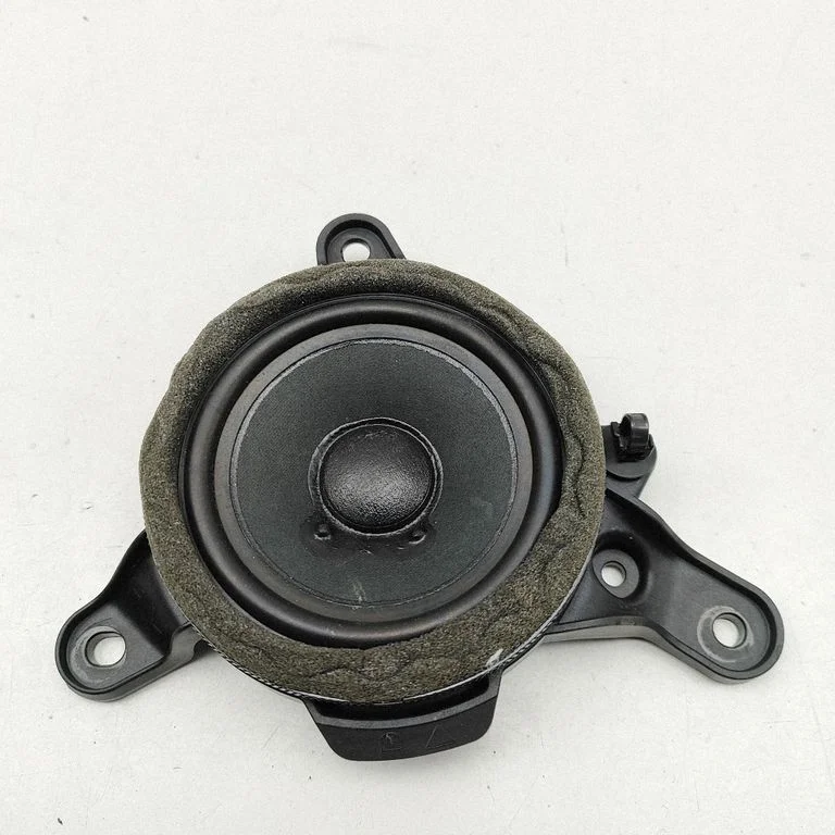 Front door speaker A2578201100