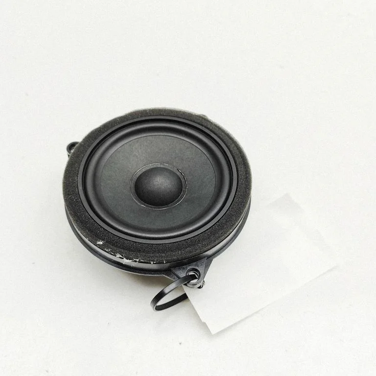 Front door speaker 2622518