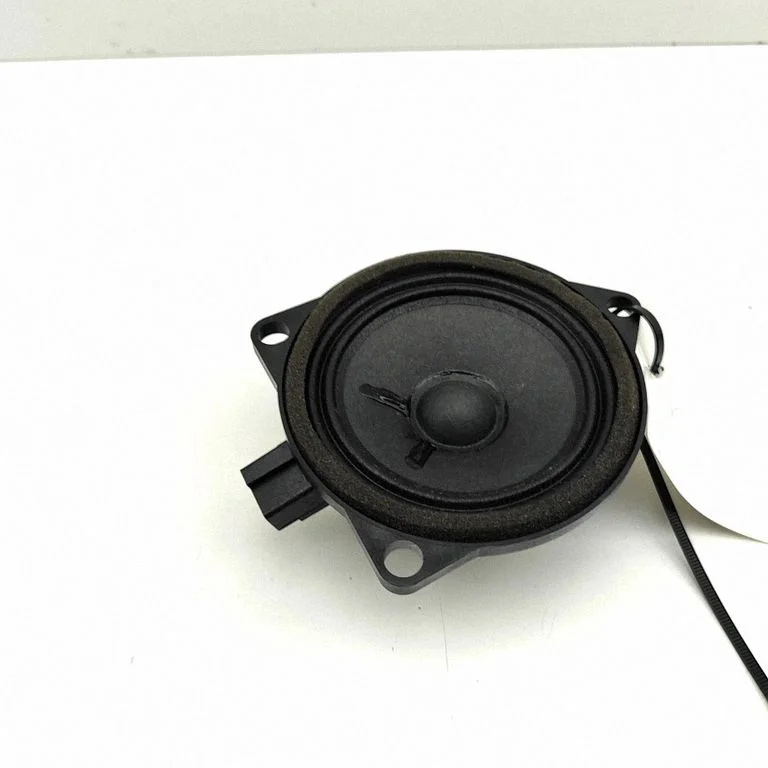 Skaļrunis (-ņi) priekšējās durvīs 31438477