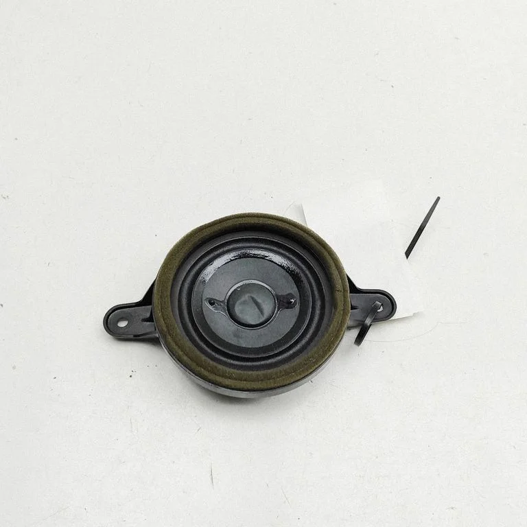 Skaļrunis (-ņi) priekšējās durvīs 4G0035454