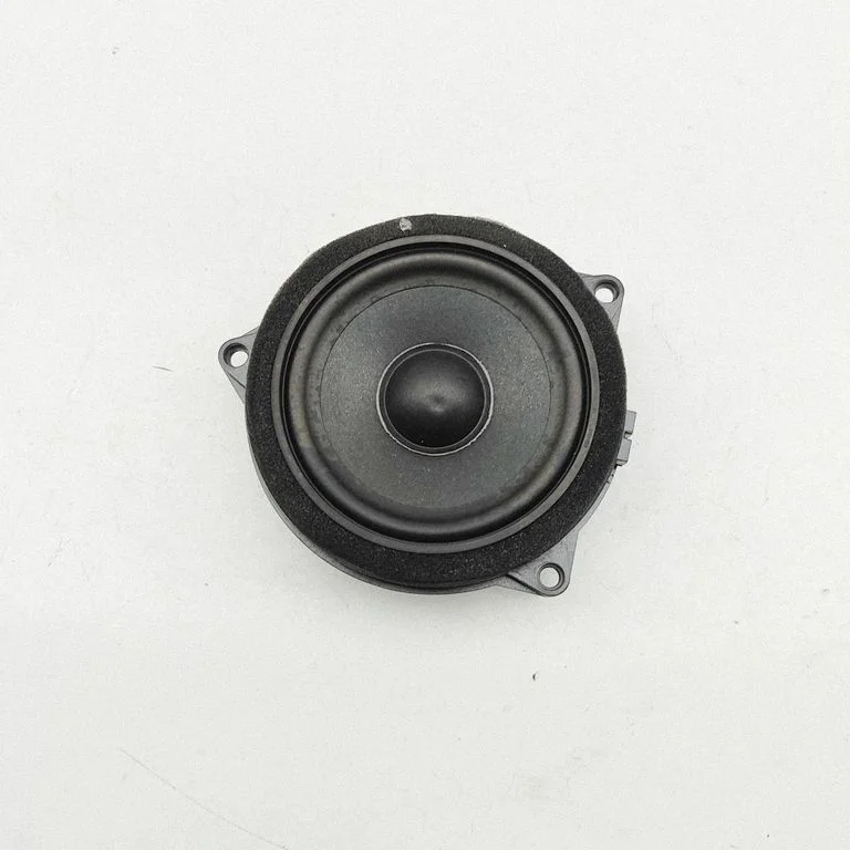 Esiukse kõlar(id) 6809629