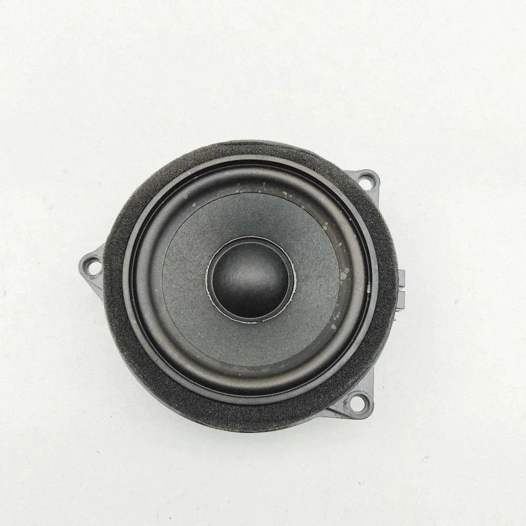 Esiukse kõlar(id) 6809629