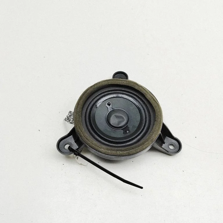 Skaļrunis (-ņi) priekšējās durvīs 4H0035397