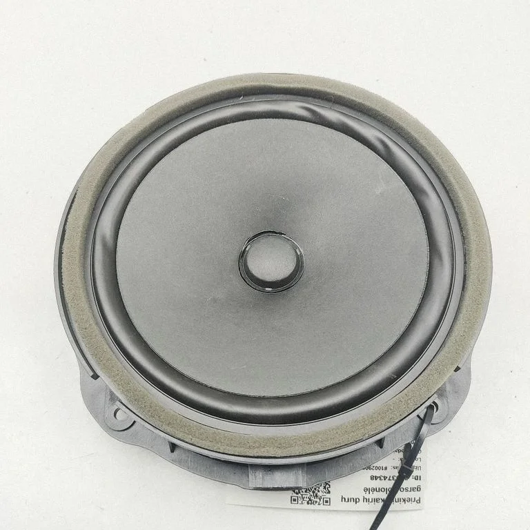 Skaļrunis (-ņi) priekšējās durvīs 5FA035415