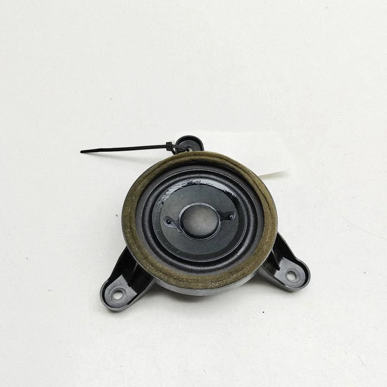Skaļrunis (-ņi) priekšējās durvīs 4H0035397