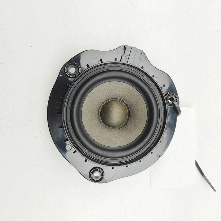 Esiukse kõlar(id) 8V0035454