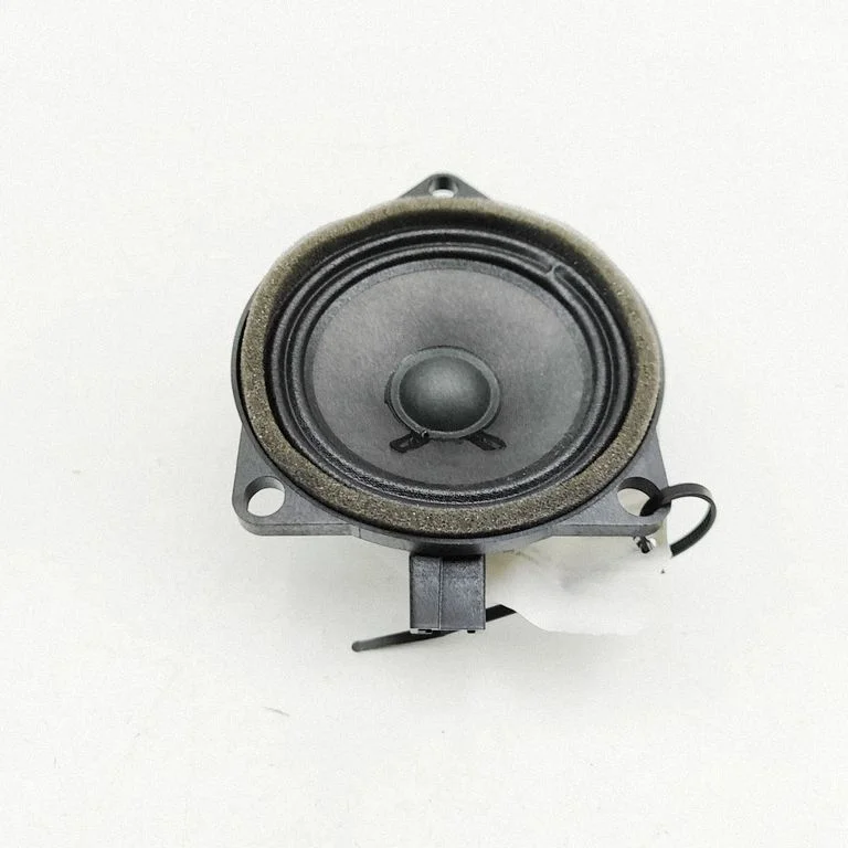 Skaļrunis (-ņi) priekšējās durvīs 31438477