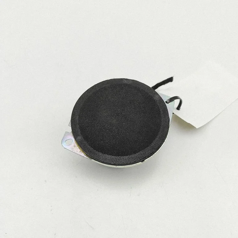 Skaļrunis (-ņi) priekšējās durvīs 53474597