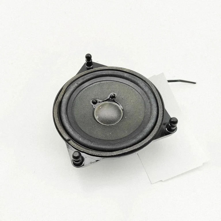 Skaļrunis (-ņi) priekšējās durvīs A2228200202
