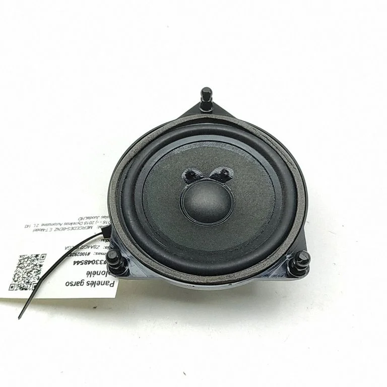 Front door speaker A2138201000